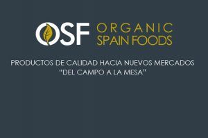 corporativo-catalogo-osf-01